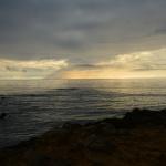 Cambria_0116 (November 04, 2017)